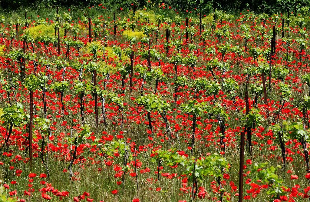 Une Campagne En Provence Bras Ngoại thất bức ảnh