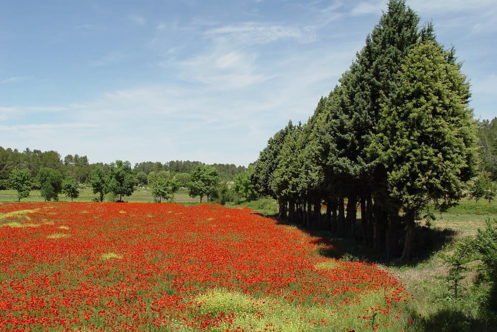 Une Campagne En Provence Bras Ngoại thất bức ảnh