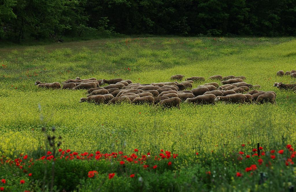 Une Campagne En Provence Bras Ngoại thất bức ảnh